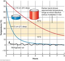 Effect of food amount on cooling rate and spoilage