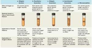 Oxygen requirements and growth patterns in test tubes