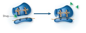 Altered target site mechanism