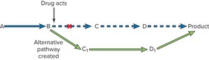 Alternative metabolic pathway mechanism