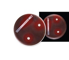 Alternative disc diffusion test plates