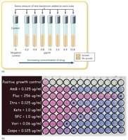 Tube dilution and micro broth dilution test for MIC