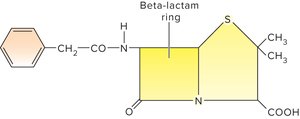 Penicillin G structure