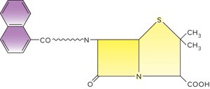 Penicillin variant structure