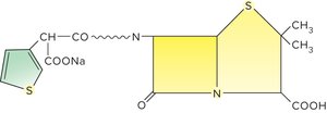 Penicillin variant structure
