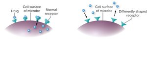 Altered drug receptor mechanism