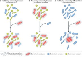 Bacteriocin-mediated community interactions