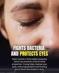 Tears containing lysozyme with antimicrobial properties