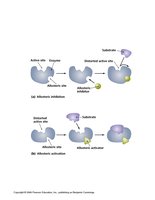 Diagram of noncompetitive inhibition and allosteric activation