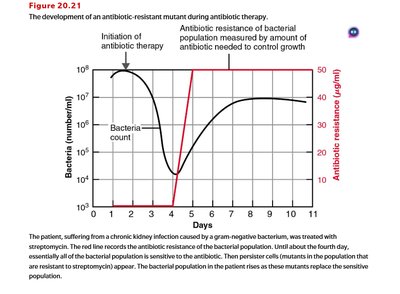 Development of antibiotic-resistant mutants during antibiotic therapy