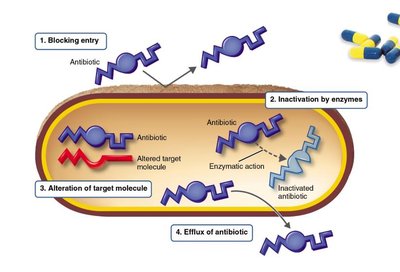Mechanisms of antibiotic resistance