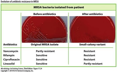 MRSA antibiotic resistance before and after treatment