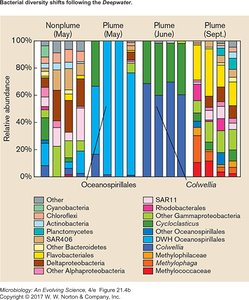 Bacterial diversity shifts after Deepwater spill