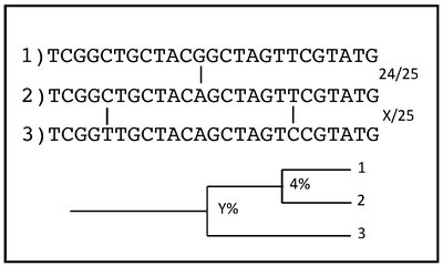 DNA sequence alignment and phylogenetic tree