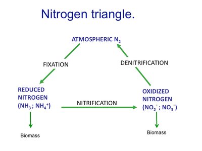 Nitrogen triangle diagram