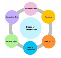Chain of transmission diagram