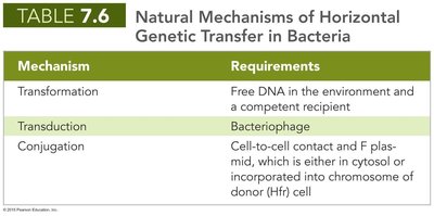 Transformation: uptake of DNA from environment