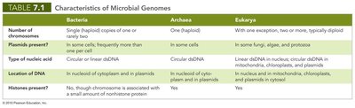 Table of characteristics of microbial genomes