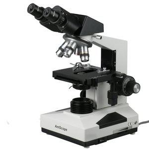 Modern compound light microscope