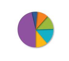 Pie chart of common HAIs