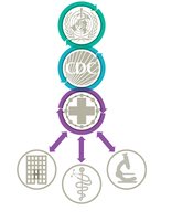 Disease reporting scheme diagram