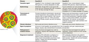 Hepatitis D and E virus micrograph