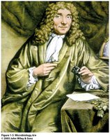 Antonie van Leeuwenhoek portrait