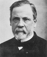 Louis Pasteur portrait