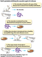 Koch's postulates illustrated