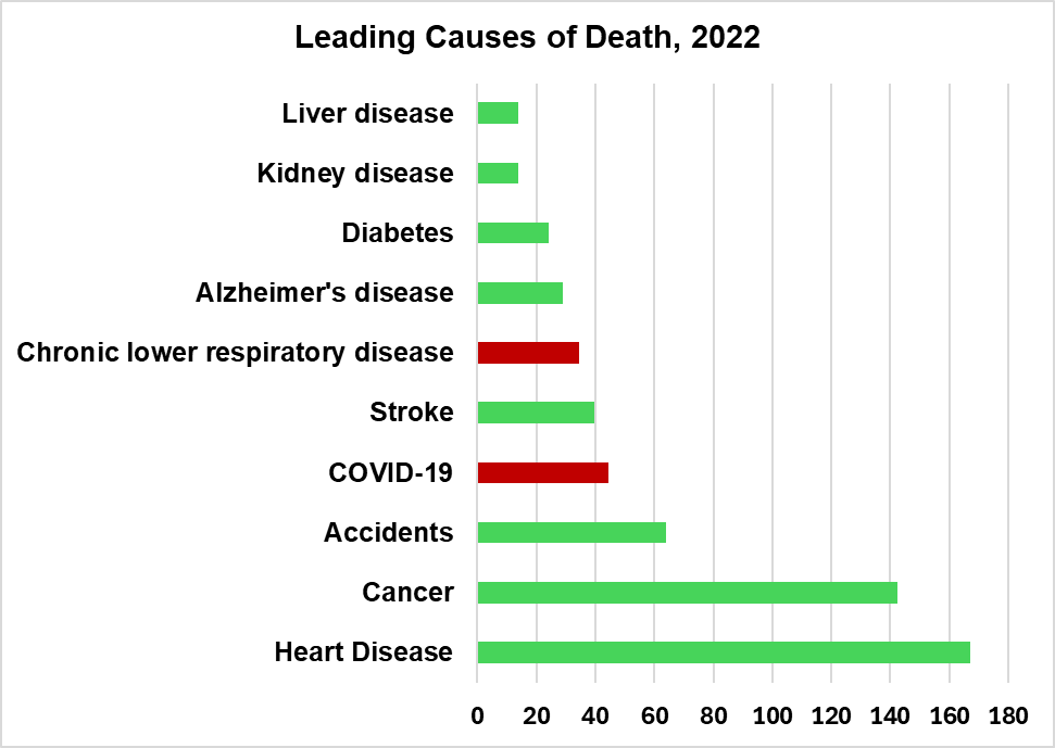 Leading causes of death, 2022