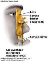Leeuwenhoek's microscope diagram