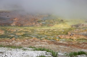 Archaea at Midway Geyser Basin