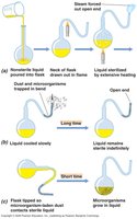 Diagram of Pasteur's swan-neck flask experiment