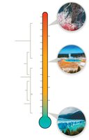 Temperature ranges for microbial growth