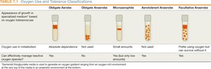 Oxygen use and tolerance classifications table