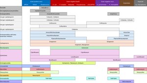 Spectrum of action for selected antimicrobial agents