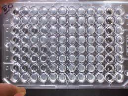 Plastic well plate for MIC testing