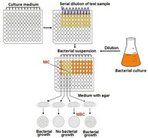 MBC test procedure