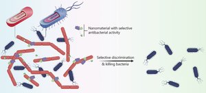Diagram showing selective antibacterial activity against bacteria