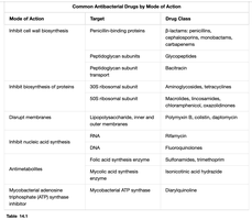 Table of common antibacterial drugs by mode of action