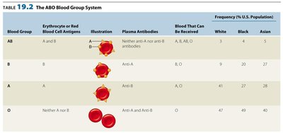 Table of ABO blood group system