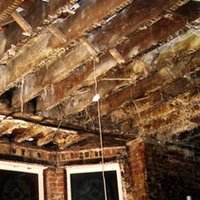 Dry rot in building