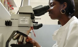 Lab identification of fungi