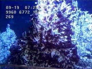 Inorganic chemicals as energy sources