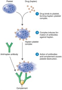 Drug-induced immune thrombocytopenic purpura