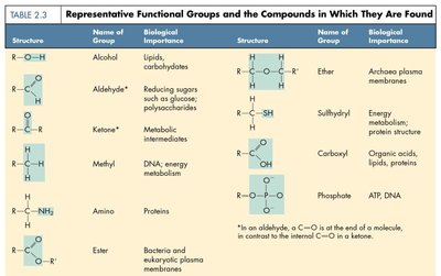 Table of representative functional groups and their biological importance