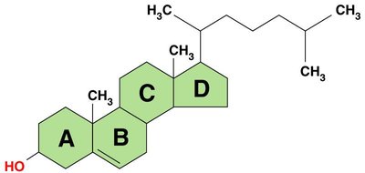 Steroid structure