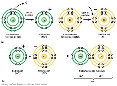Formation of ionic bonds between sodium and chlorine to make NaCl
