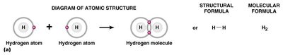 Covalent bond formation in hydrogen molecule