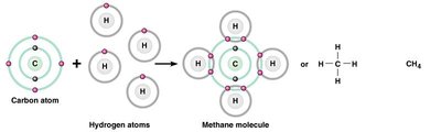 Covalent bond formation in methane molecule